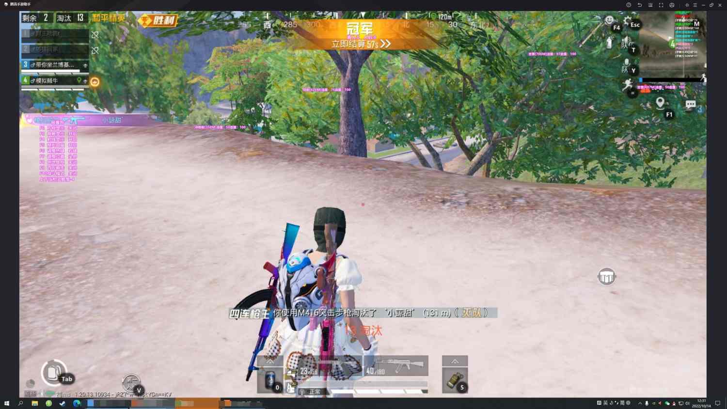 手机和平精英辅助透视